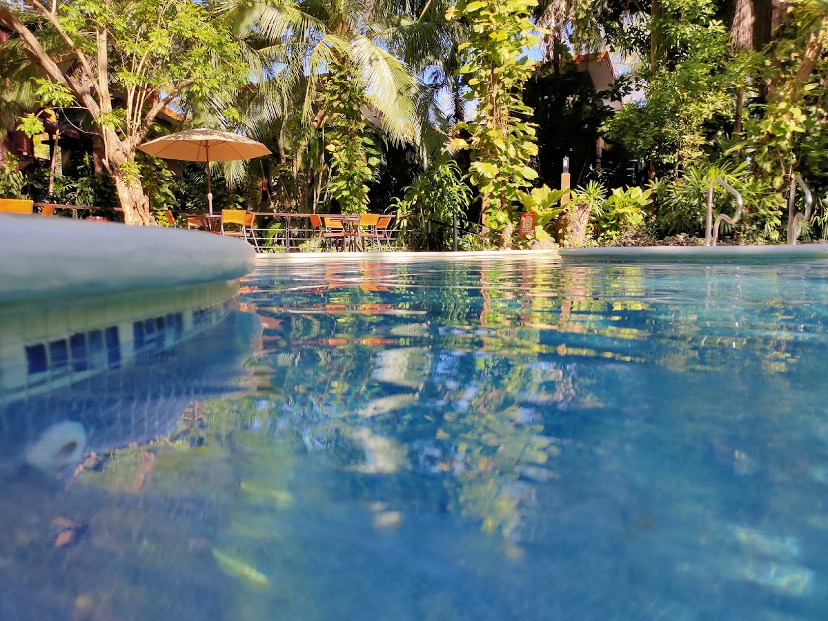 Hotel Bosque del Mar - photo 3