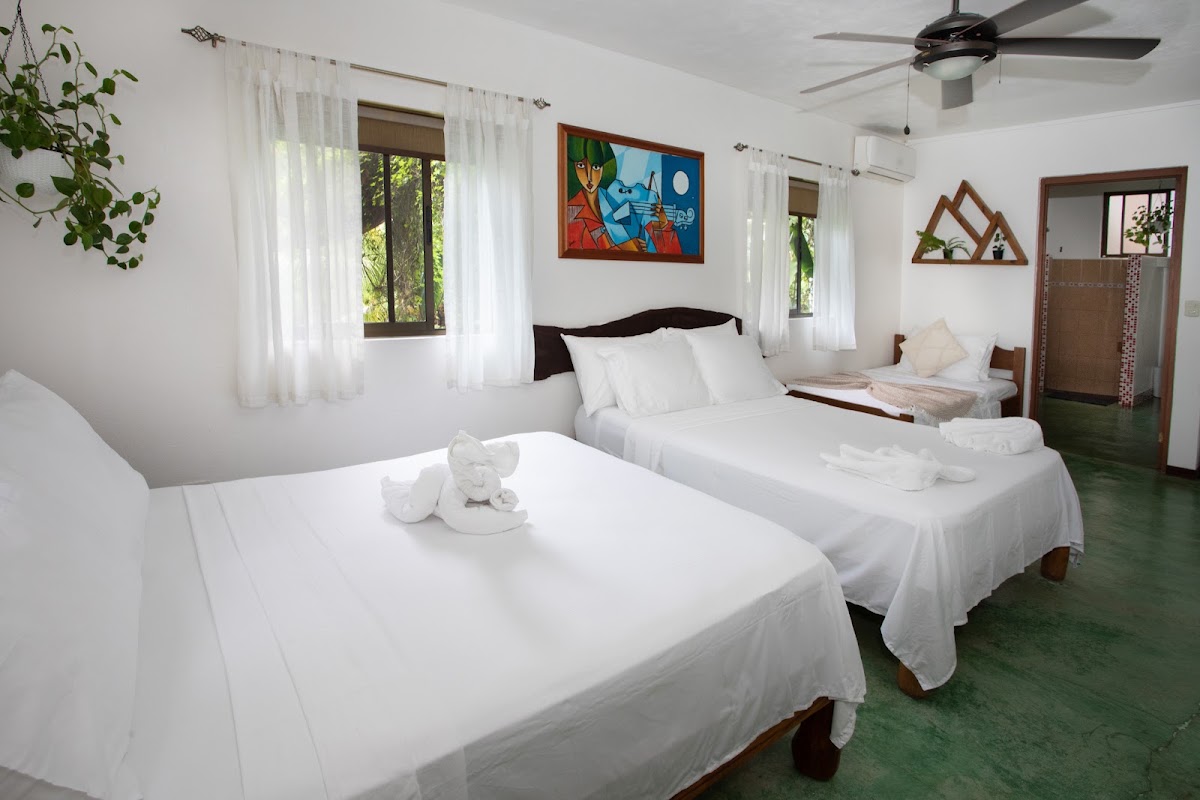Villas Jacquelina - photo 2