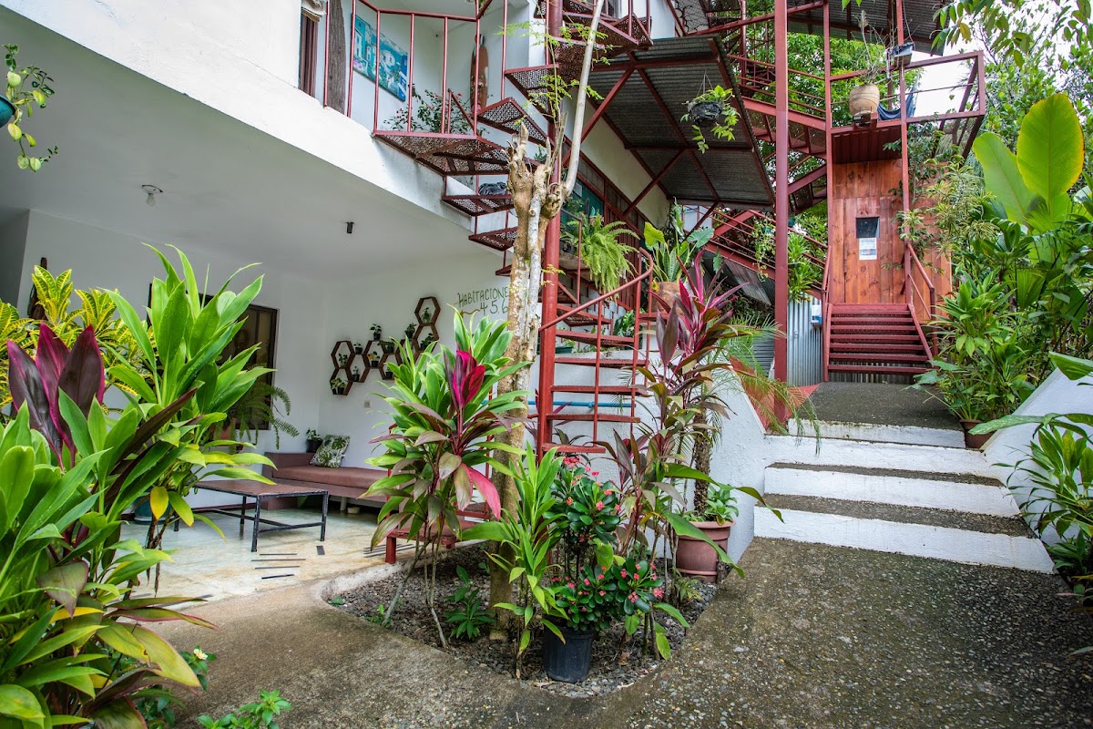 Villas Jacquelina - photo 5