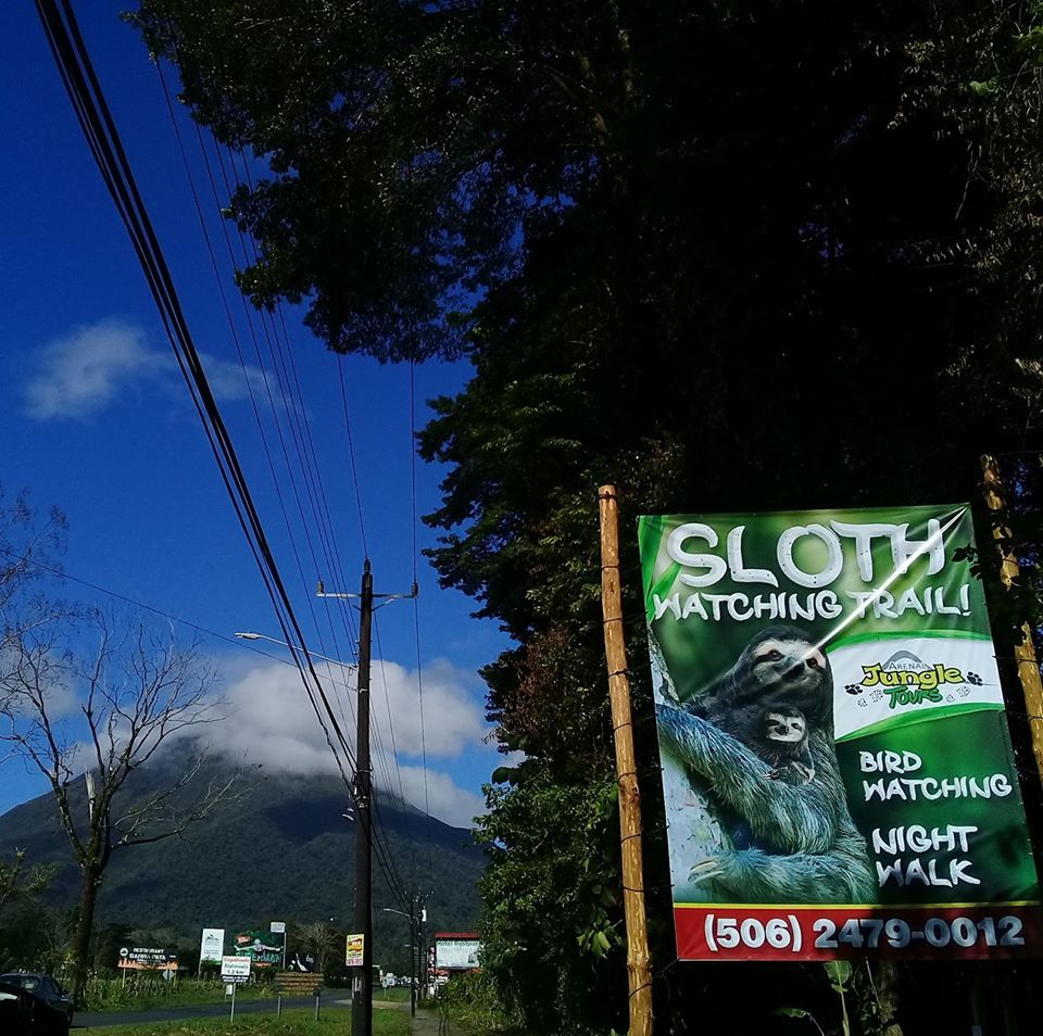 Sloth Watching Trail La Fortuna, Sloth Park