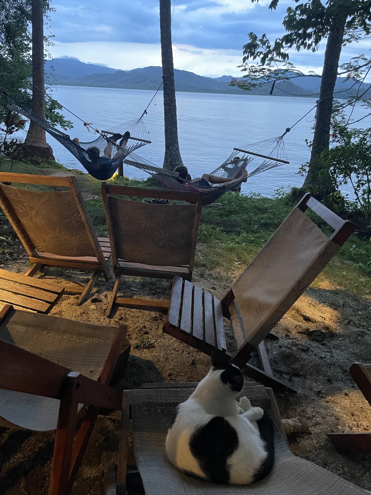 Bahia Rica Fishing & Kayak Lodge - photo 5