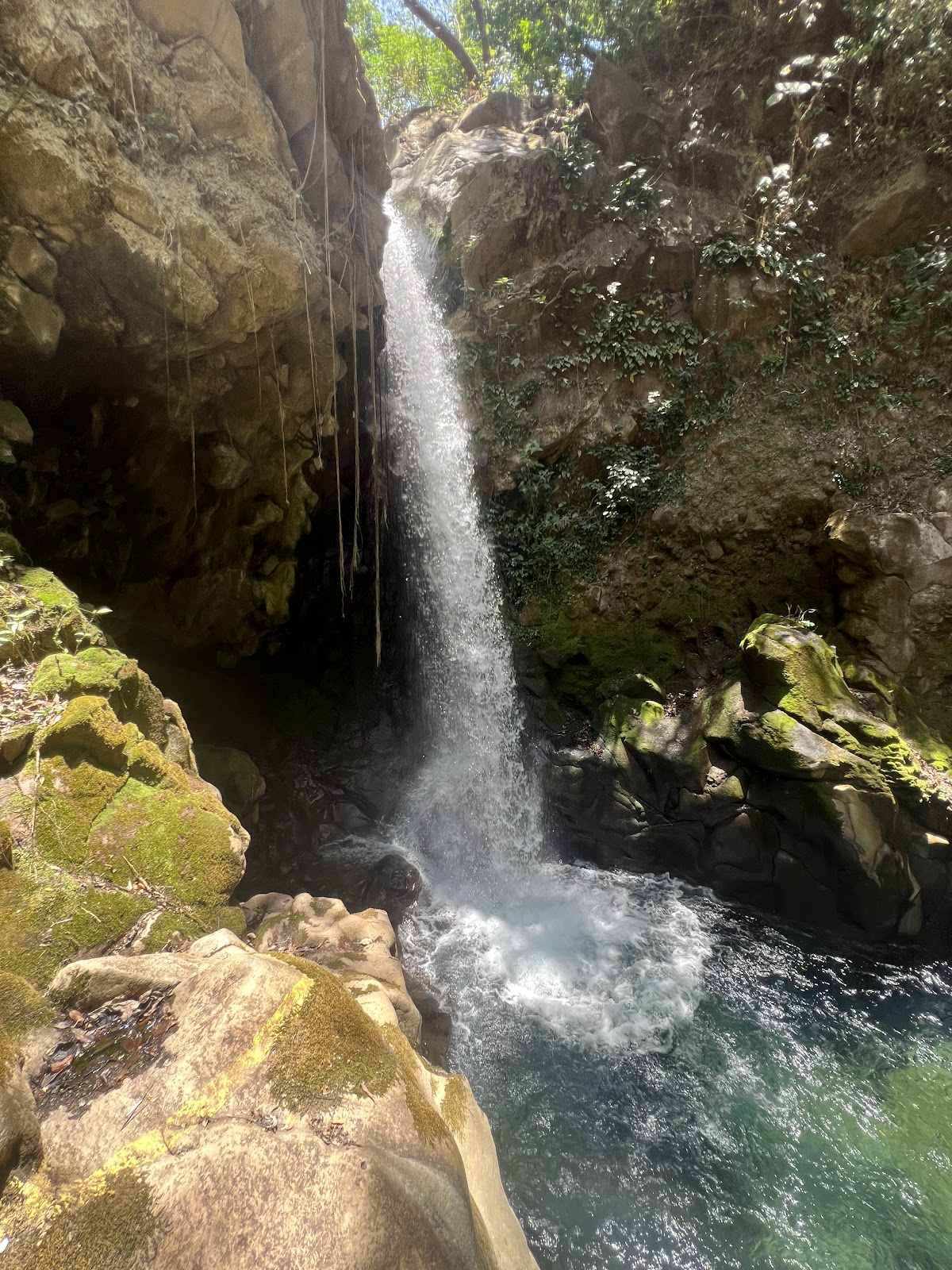 No Limit Adventures CR | Tours & Private Experiences in Guanacaste - photo 2