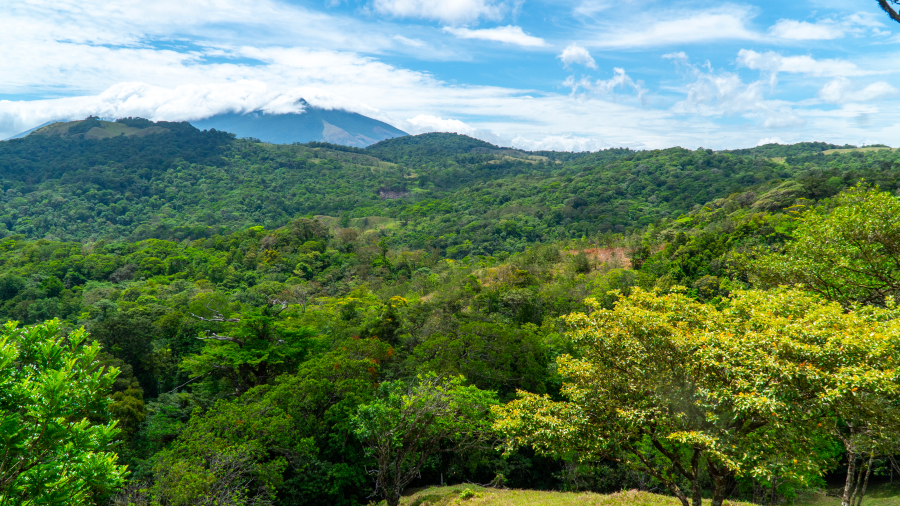 No Limit Adventures CR | Tours & Private Experiences in Guanacaste - photo 3
