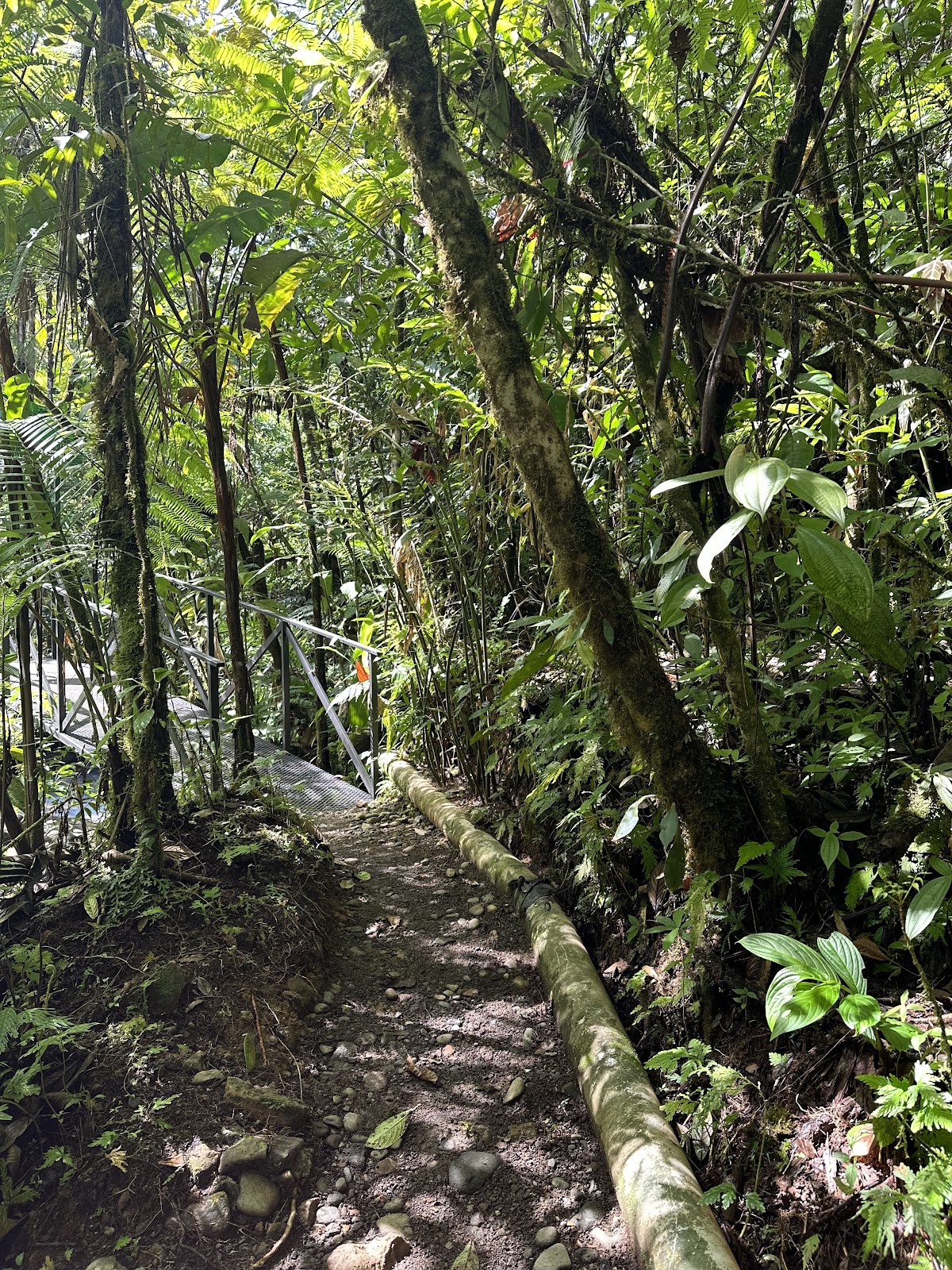 No Limit Adventures CR | Tours & Private Experiences in Guanacaste - photo 4
