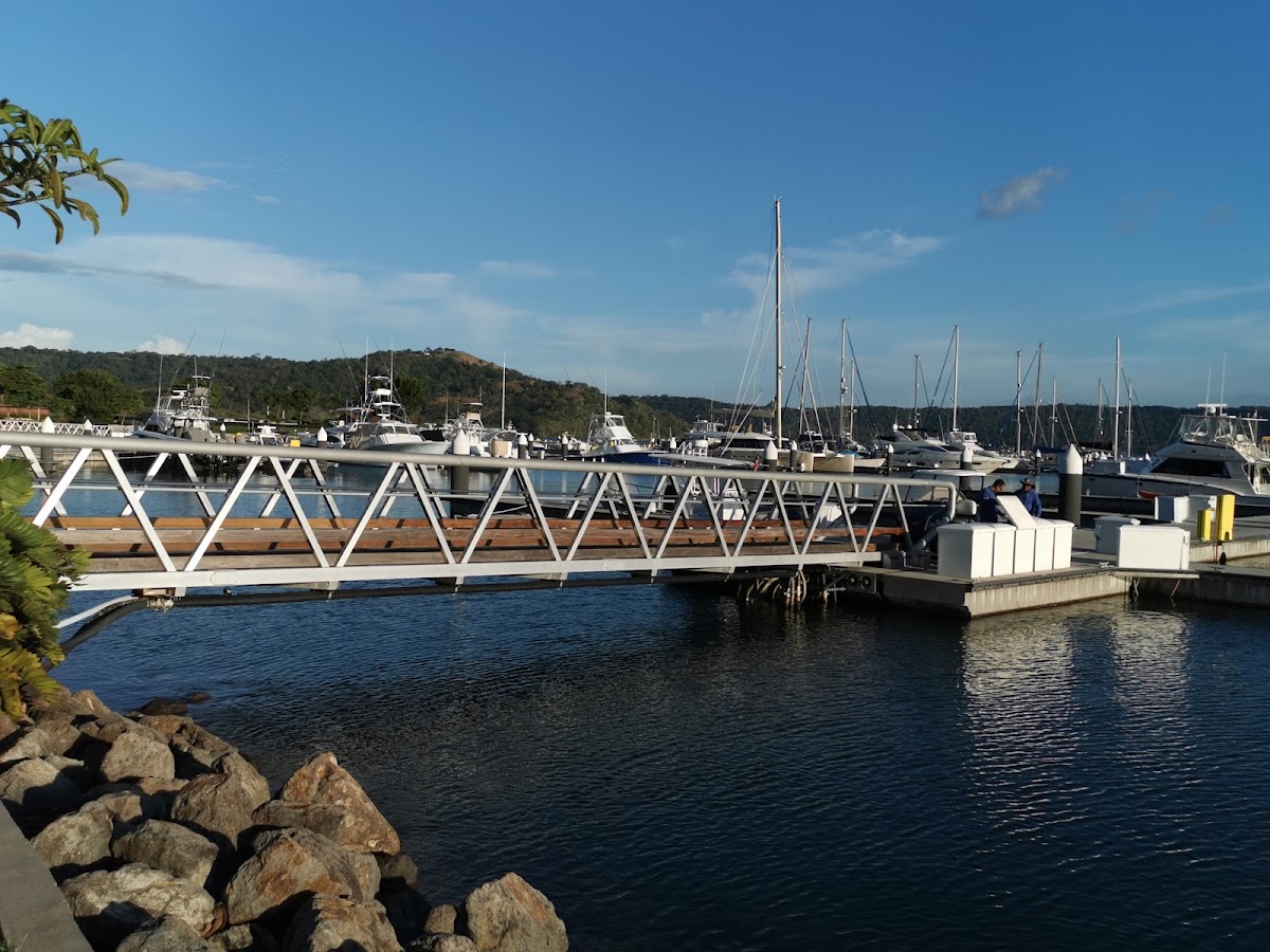 Marina Papagayo - photo 4
