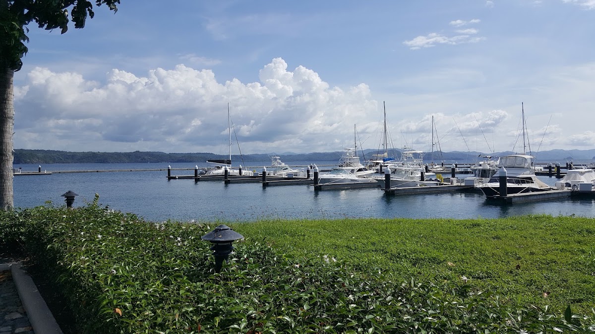 Marina Papagayo - photo 6