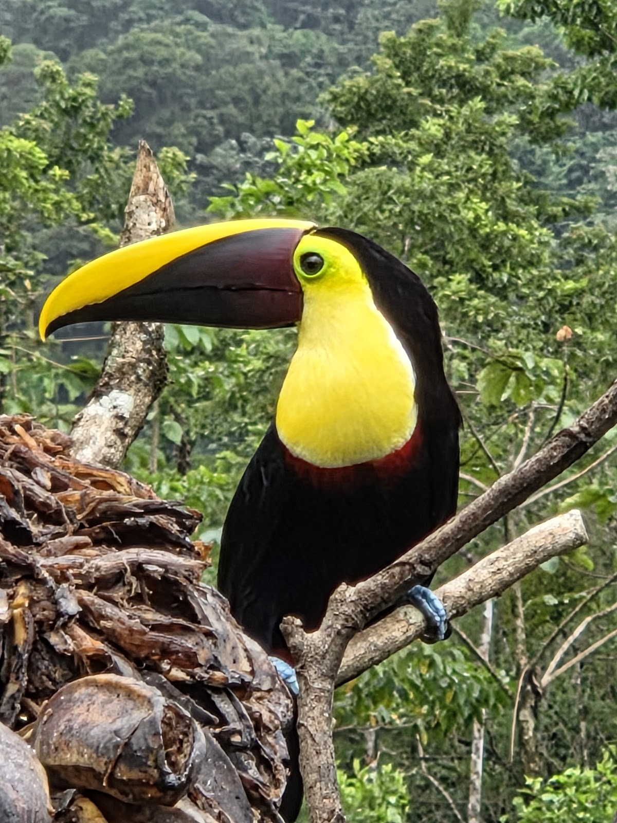 Anthony adventure - Costa Rica - featured photo