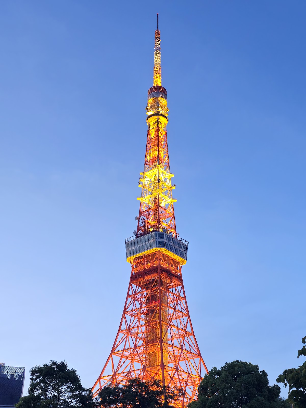 Tokyo Tower - photo 6